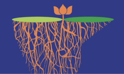 Why BJP keeps winning