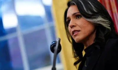 The rise and rise of Tulsi Gabbard